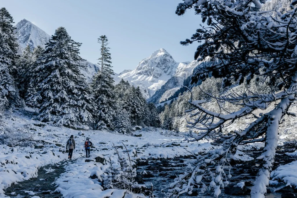 Fruitière Hiver