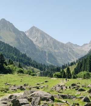 DSC03326