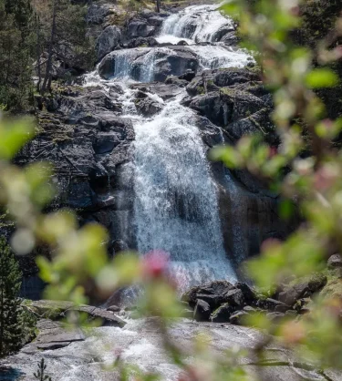 Le printemps à cauterets