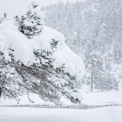 Neige Pont d'Espagne - 7 dec. 2020