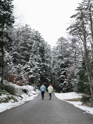 Premières neiges-11