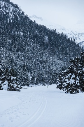 Paysage PE-6