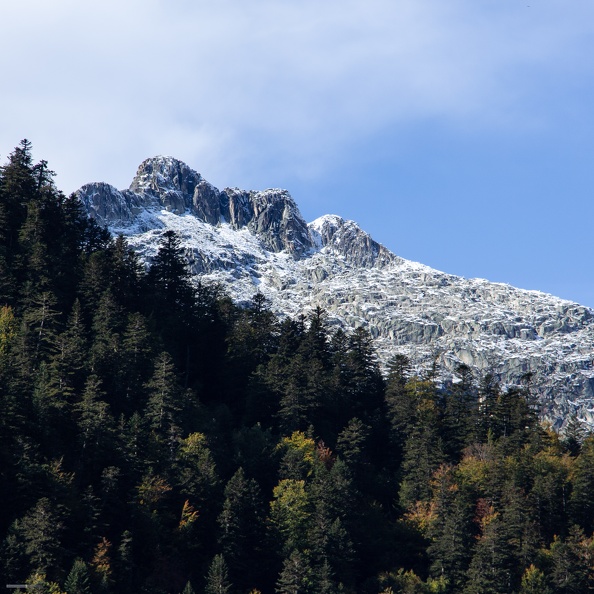 Premières Neige-6