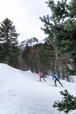 Ski de fond2022-8825