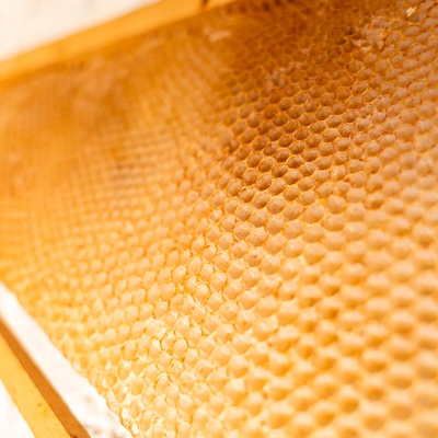 Pavillon des abeilles
