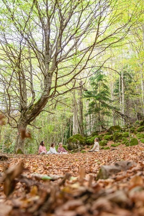 Bain de forêt2022-8721