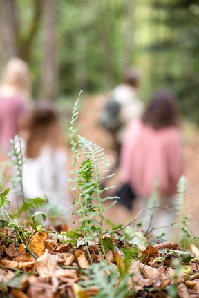 Bain de forêt2022-8743