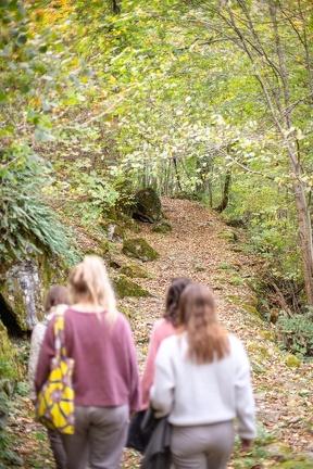 Bain de forêt2022-8753