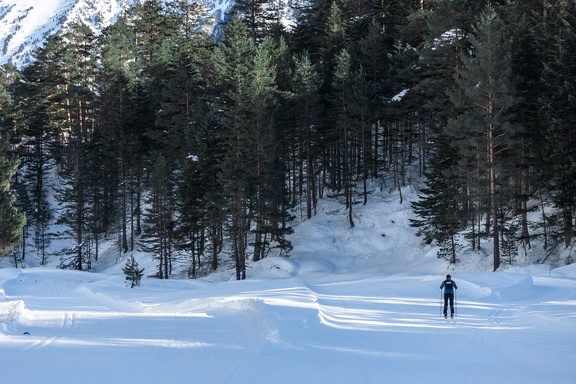 Ski de fond2021-4563