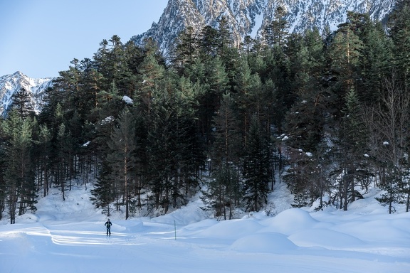 Ski de fond2021-4566