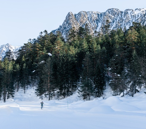 Ski de fond2021-4567