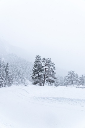 Pont d’Espagne Neige 2023 IMG 1758