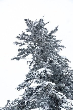 Pont d’Espagne Neige 2023 IMG 1636