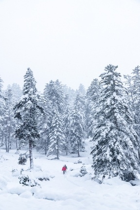 Pont d’Espagne Neige 2023 IMG 1726