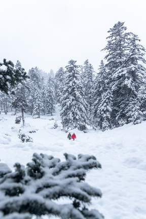 Pont d’Espagne Neige 2023 IMG 1732