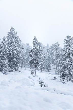 Pont d’Espagne Neige 2023 IMG 1740