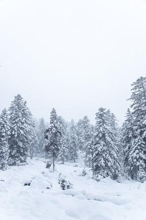 Pont d’Espagne Neige 2023 IMG 1742