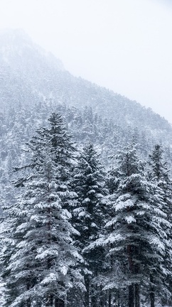 Pont d’Espagne Neige 2023 IMG 1762