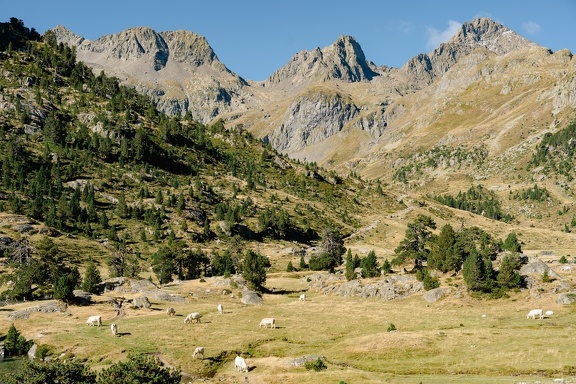 DSC06973 - (c) Remi Ferodet