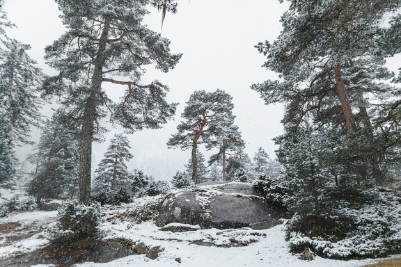 Premières Neiges PE 2023 IMG 2239