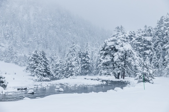 Pont d’Espagne  Neige 2024 IMG 3773