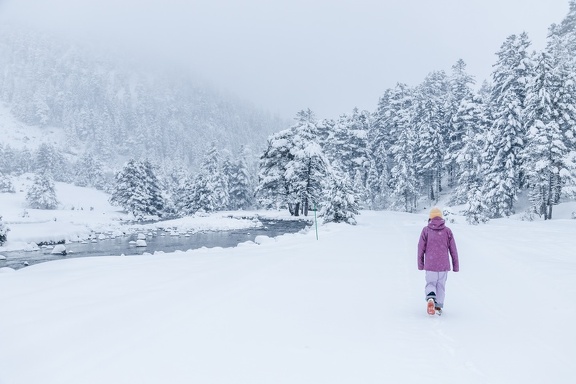 Pont d’Espagne  Neige 2024 IMG 3775