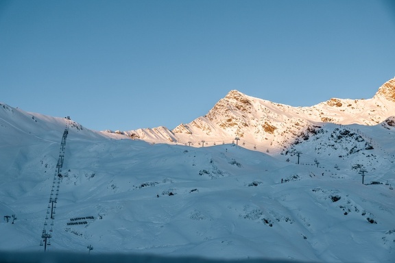 Lys Neige 2024 IMG 3851