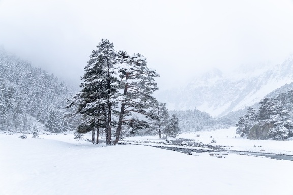 Pont d’Espagne  - Clot Neige 2024 IMG 5955