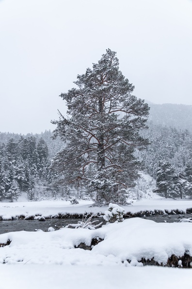 Pont d’Espagne  - Clot Neige 2024 IMG 5926