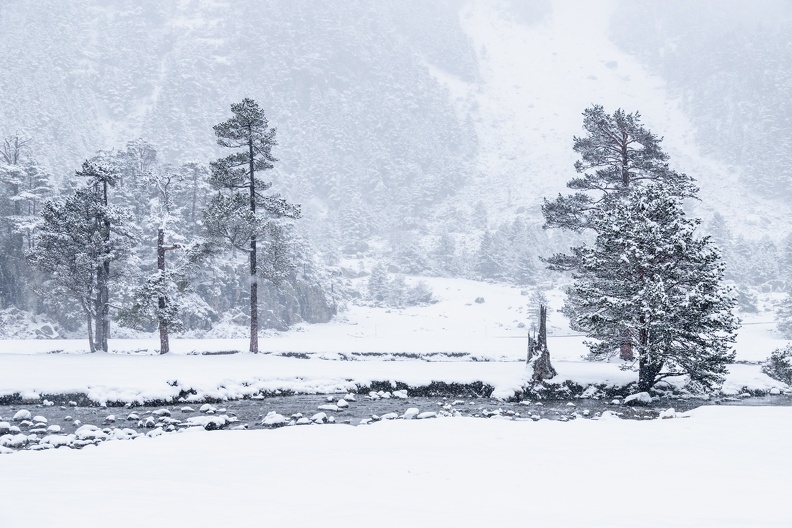 Pont d’Espagne  - Clot Neige 2024 IMG 5950