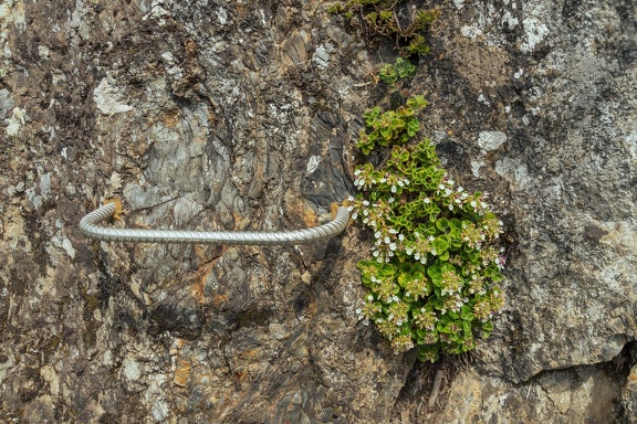 Via Ferrata ALIAS 2024-IMG 0528