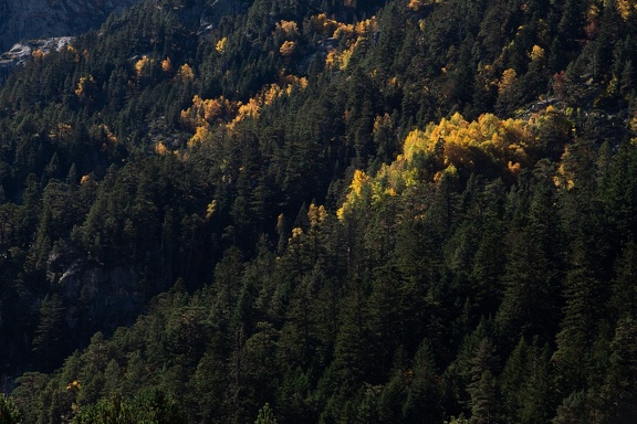 Cayan - Automne-11
