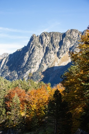 Cayan - Automne-15