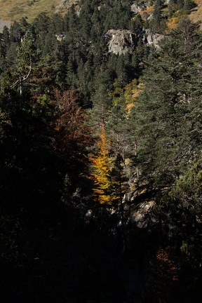 Cayan - Automne-16