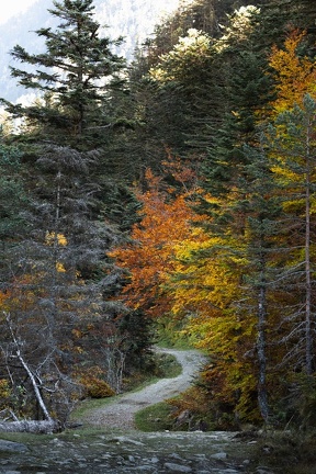 Cayan - Automne-18