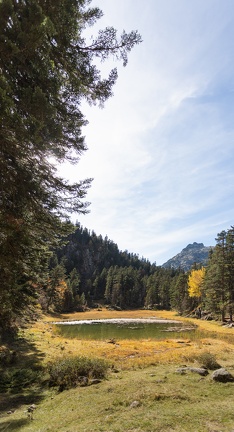 Cayan - Automne-19