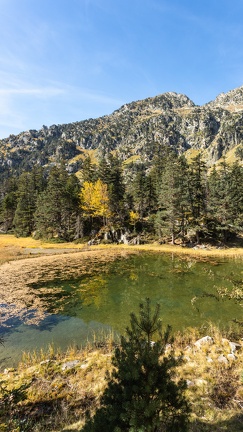 Cayan - Automne-21