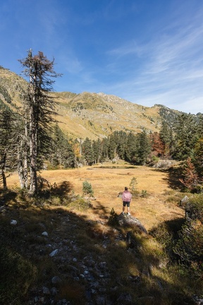 Cayan - Automne-24