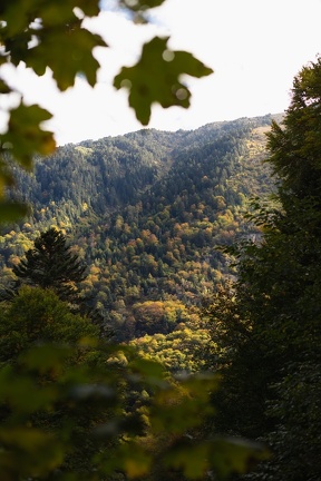 Automne Route 1