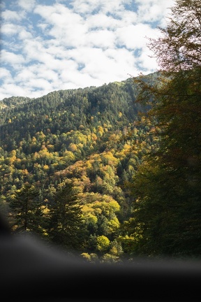 Automne Route 3