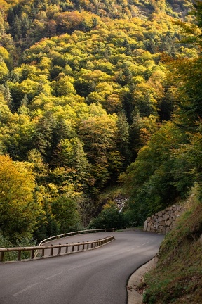 Automne Route 4