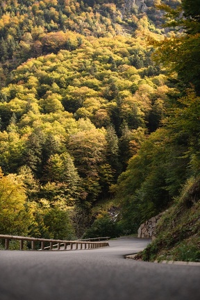 Automne Route 5