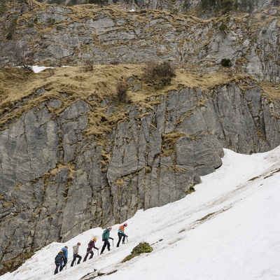 Alpi 2025