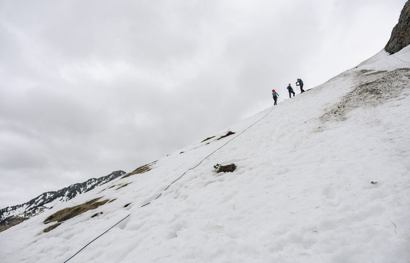 DSC09479- (c) Remi Ferodet